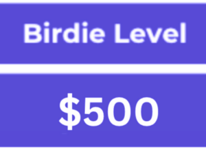 National Media Partnership - BIRDIE LEVEL